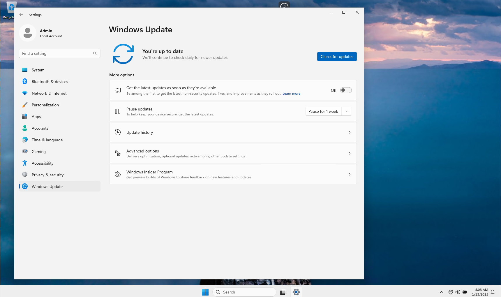 Windows Update